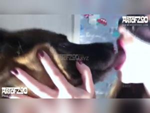Honey Under the Canine Yoke
