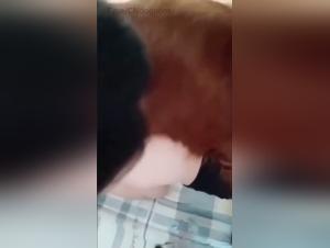 Intimate Moments: Asian Woman and Dog in Private Encounter