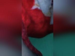 Unleash your darkest desires with our hardcore collection