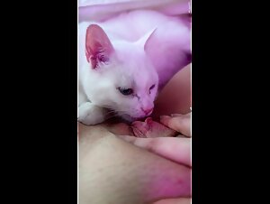 Experience the Taboo in This Explicit Bestiality Video