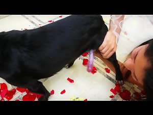 Experience the Art of Bestiality with ArtofZoo