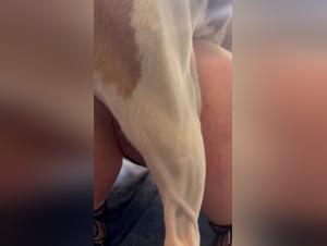 Hardcore Zoophilia: Uncontrollable Animal Desire Takes Over