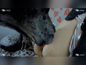 Zooskool - Où les Désirs Animaux Se Réalisent