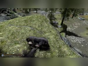 Del inn i en verden hvor fantasy smelter med hardcore: Milly's Erotiske Forbindelse med Hunden