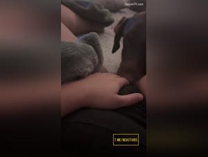 Wild satisfaction: whore dominated by a lustrating dog