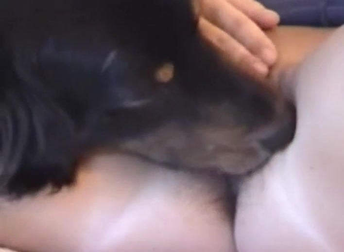 Big-booty bitch enjoys wild fucking with her dog