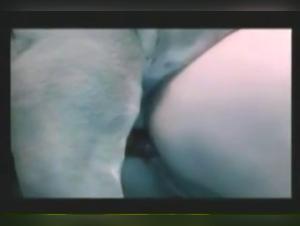 Dark Exploration: Wild Desires Fulfilled