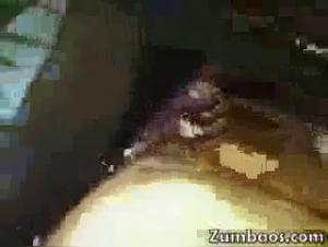 Slave to desire, the woman succumbs to canine savagery.