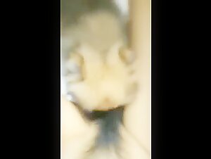 Exciting Sex Scene with an Asian and Her Dog