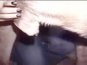 Sex videos with dogs: a unique experience