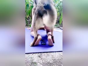 Expérience sexuelle brute : chien défonce une jeune femme