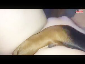 Discover the pleasures of bestiality with this dog sex video