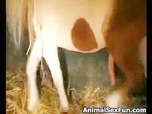 Experiencia sexual extrema con un caballo