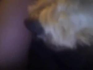 Explore the Darkest Fantasies: Hardcore Canine Fucking