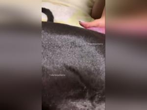Dry Fuck and Sperm: Lexycherrry Comes Under Canine Domination