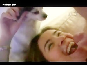 Domination and bestiality: a sex video with a dog