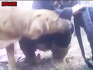 Experience an extreme sex experience with a dog in the wild