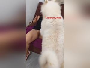 Exclusive Zooskool Content