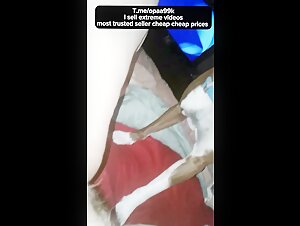 Bestial and Extreme Video: Discover Sex with Dog
