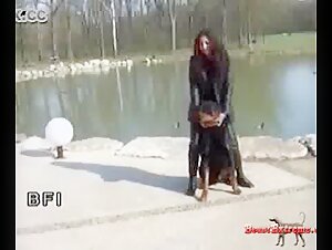 Bestiality Video: An Extreme Experience