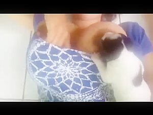 Bestiality and sex with dogs: watch this shocking video