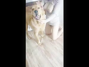 Sex video with a dog: a Japanese woman without taboos