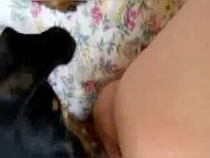 Double pleasure, dog and grandmother merged