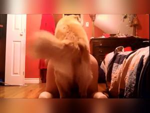 Best Dog Fucking Games