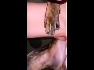 Zoofilia extrema para tu deleite