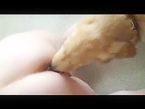 Hard and extreme sex scene with dog