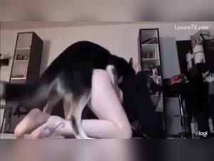 Taboos Busted: A Delicious Game of Power and Submission