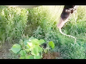 Discover the full version of this unique zoophilia video
