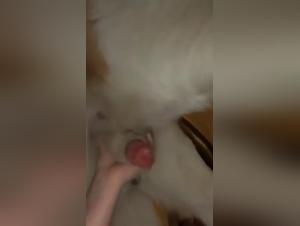 suction, pleasure and animal submission