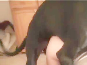 Bestiality video: woman and dog