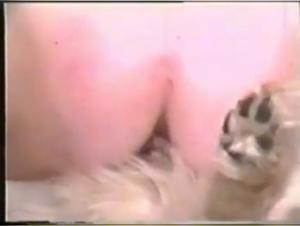 Escenas eroticas inolvidables: mujeres y animales en una pasion ardiente