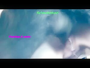 Animal Sex Videos: Discover the World of Bestiality