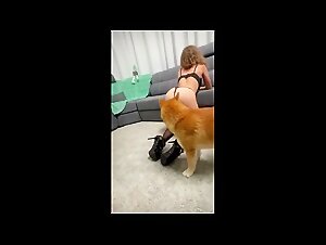 How Dog-Female Sex Can Benefit the Balance of Animal Passions