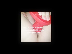 Explore the world of bestiality and zoophilia