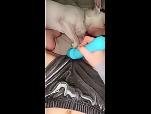 Pure Satisfaction: Puttane Obsessed With Their Dogs, Brutal Orgies