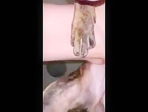 Hardcore-Sexszenen mit Hunden: eine Geschichte von verbotener Liebe und Leidenschaft