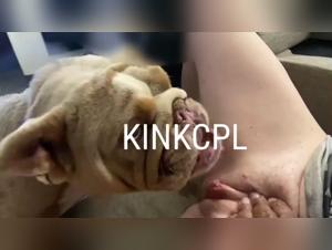 Amazing Zoofilia Porn Scenes