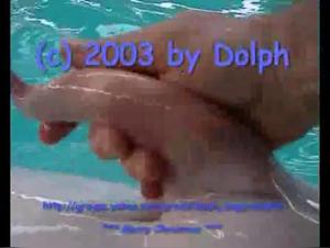 Canine domination, insatiable urges