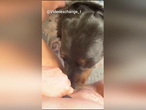 Raw Delights: Wild Dog, Submissive Woman