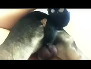 Animal Creampie, kindischer Antrieb, verbotenes Vergnugen enthullt