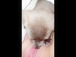 Intense sex scene with a dog and a young woman