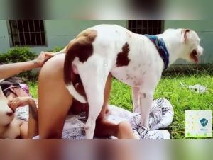 Gardens dominated by dogs