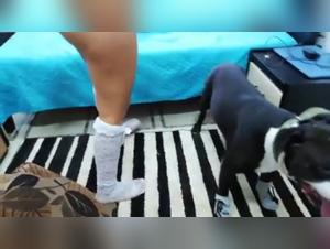 Première partie : Le Désir Irrésistible de Milly pour son Chien