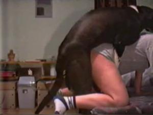 Hardcore Zoophilia, Unfiltered