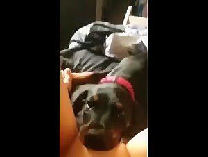 Check out the hardest bestiality sex videos with Veronica and her dog