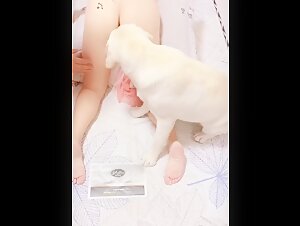 Bestiality: a woman and her dog